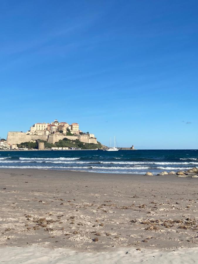 Corse Calvi Appt Cote Mer Екстер'єр фото